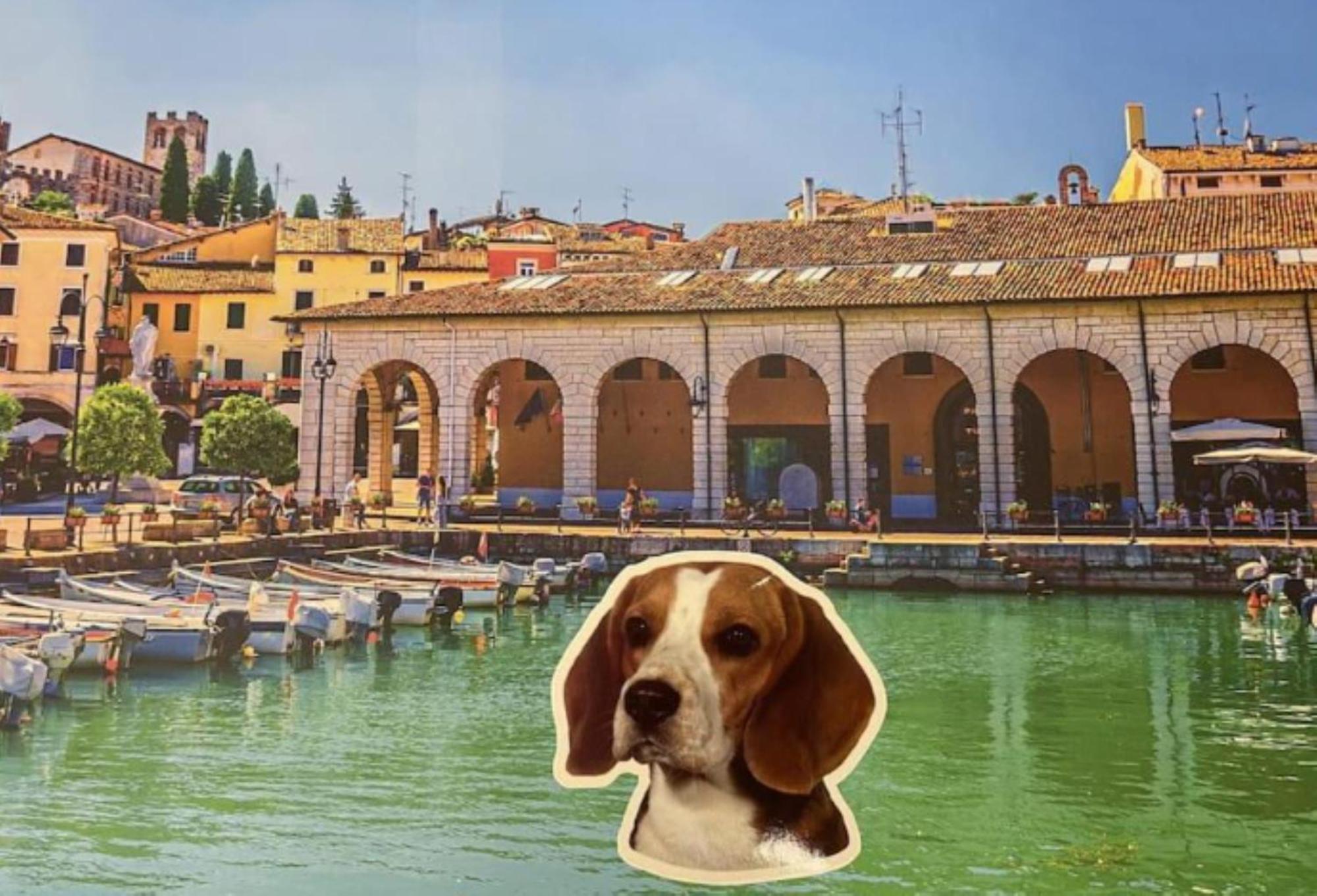 Desenzanoloft Official Partner Marriott Homes & Villas - Jack'S Penthouse Desenzano del Garda Zewnętrze zdjęcie